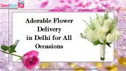 Best Online Flower Delivery in Delhi on All Occasions