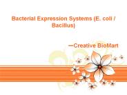 Bacterial Expression Systems (E. coli / Bacillus)