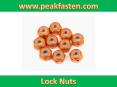 Peak Fasten Technologies Offers Aluminum Nylon Lock Nut PowerPoint PPT Presentation