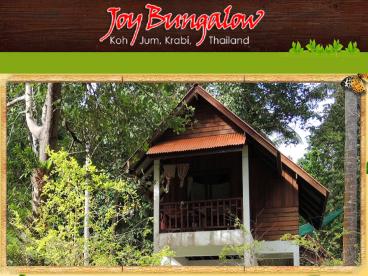 Enjoy the Nature Beauty with Joy Bungalow