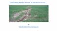 Landscaping companies share tips on avoiding soil erosion PowerPoint PPT Presentation