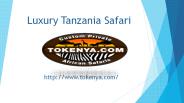 Luxury Tanzania Safari - Tokenya