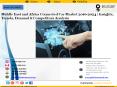 Middle East and Africa Connected Car Market 2016-2024 | Insights, Trends, Demand & Competitors Analysis PowerPoint PPT Presentation