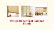 Design Benefits of Bamboo Blinds