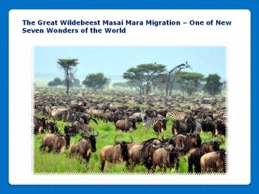 Masai Mara Migration Safari