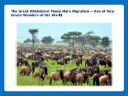 Masai Mara Migration Safari