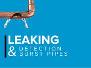 Leaking Pipes or Burst Pipes? Not anymore!