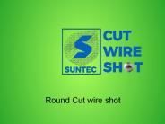 Round Cut wire shot (4)