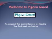Bird Netting Suppliers By pigeonguard.com