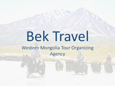 Bek Travel- Best Mongolia Tours Providing Agency
