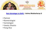 Find Top 10 Astrologer in Delhi (1)