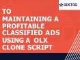To maintaining a profitable classified ads using a OLX clone script PowerPoint PPT Presentation