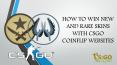 Earn High Value Skins with CSGO Coinflip Websites PowerPoint PPT Presentation