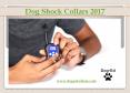 Dog shock collars 2017 PowerPoint PPT Presentation