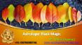 Astrologer black magic - Vedic spells PowerPoint PPT Presentation