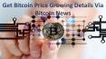 Get Bitcoin Price Growing Details Via Bitcoin News PowerPoint PPT Presentation