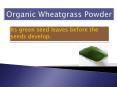 Organic Wheatgrass Powder is Available in Uk PowerPoint PPT Presentation