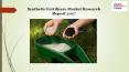 Synthetic fertilizers market research report 2017 PowerPoint PPT Presentation