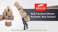 Searching For Professional Furniture Movers in Auckland PowerPoint PPT Presentation
