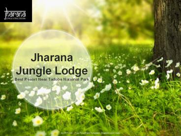 Best wildlife safari in maharashtra : Jharana Jungle Lodge.
