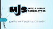 Best Arborist Services in Adelaide