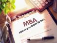 MBA degree of occupation in the market MIBM GLOBAL PowerPoint PPT Presentation