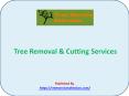 Tree Removal & Cutting Services PowerPoint PPT Presentation