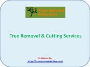 Tree Removal & Cutting Services