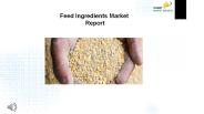 Feed Ingredients Market Research Report 2017