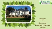 Evergreen LLC