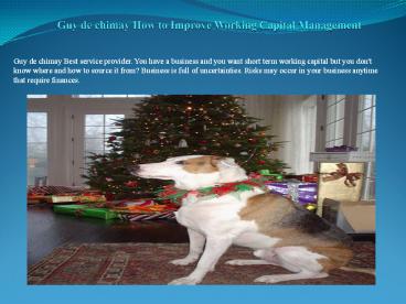 Guy de chimay Business Cash Advances and Working Capital Management