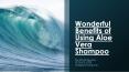A Presentation on The Wonderful Benefits of Using Aloe Vera Shampoo PowerPoint PPT Presentation