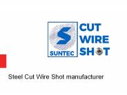 Steel Cut Wire Shot manufacturer (5)