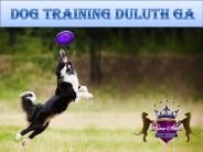 Dog training Duluth GA
