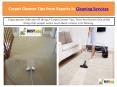 Carpet Cleaner Tips from Experts in Cleaning Services - bzbcleaning PowerPoint PPT Presentation