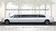How to Set Up Limousine Business in Dubai?