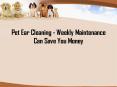 Pet Ear Cleaning - Weekly Maintenance Can Save You Money PowerPoint PPT Presentation