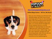 Online Bingo Games – All Fun, No Hassle