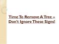 Time To Remove A Tree – Don’t Ignore These Signs! PowerPoint PPT Presentation