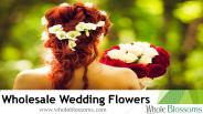 Wholesale Wedding Flowers - www.wholeblossoms.com (1)