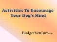 Activities To Encourage Your Dog’s Mind PowerPoint PPT Presentation