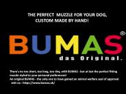 Basket Muzzle