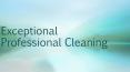 Superb Cleaning PowerPoint PPT Presentation