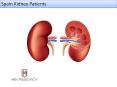 Global Renal Dialysis Equipment Market PowerPoint PPT Presentation