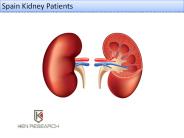 Global Renal Dialysis Equipment Market
