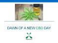Dawn Of A New CBD Day PowerPoint PPT Presentation