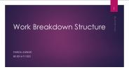 Work Break Down Structure
