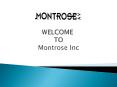 Montrose, Inc. - Commercial AV System Los Angeles PowerPoint PPT Presentation