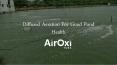 Diffused Aeration For Good Pond Health - AirOxi Tube PowerPoint PPT Presentation