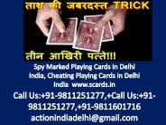 8506880351